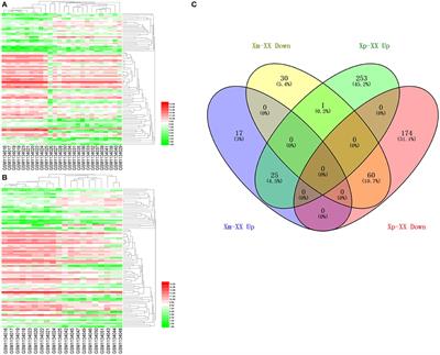 Bioinformatic Analysis Identifies Potential Key Genes in the Pathogenesis of Turner Syndrome